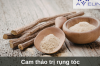 Cam thảo trị rụng tóc