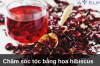 Chăm sóc tóc bằng hoa hibiscus
