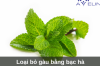 Loại bỏ gàu bằng bạc hà