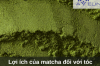 Lợi ích của matcha đối với tóc