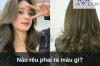 Nâu rêu phai ra màu gì?