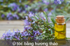 Ủ tóc bằng hương thảo