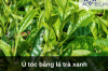 Ủ tóc bằng lá trà xanh