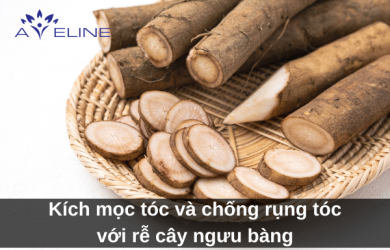 Kích mọc tóc và chống rụng tóc với rễ cây ngưu bàng