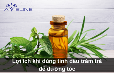 Lợi ích khi dùng tinh dầu tràm trà để dưỡng tóc